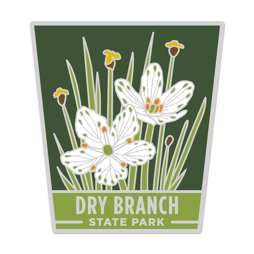 TNSP - Dry Branch Sticker