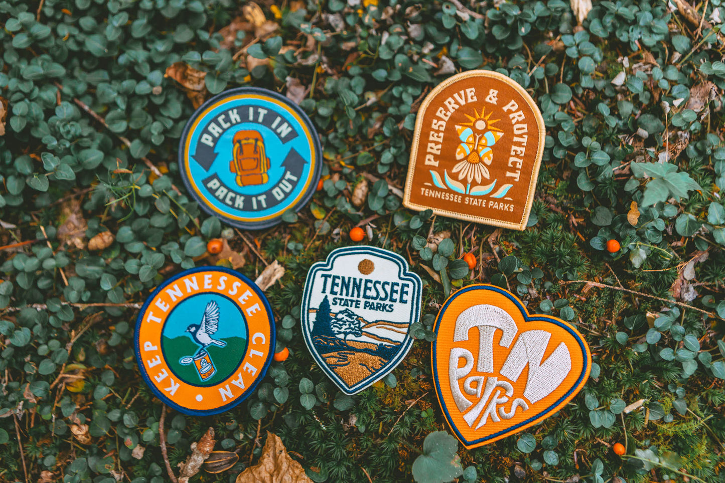TNSP - Preserve and Protect Patch