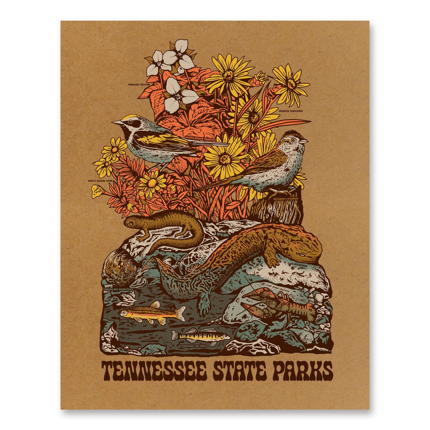 TNSP - Endangered Species Poster