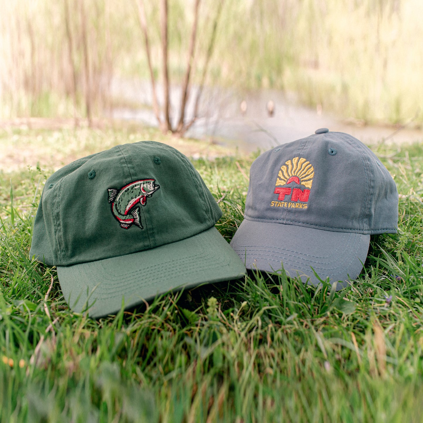 TNSP - Sunshine Dad Hat