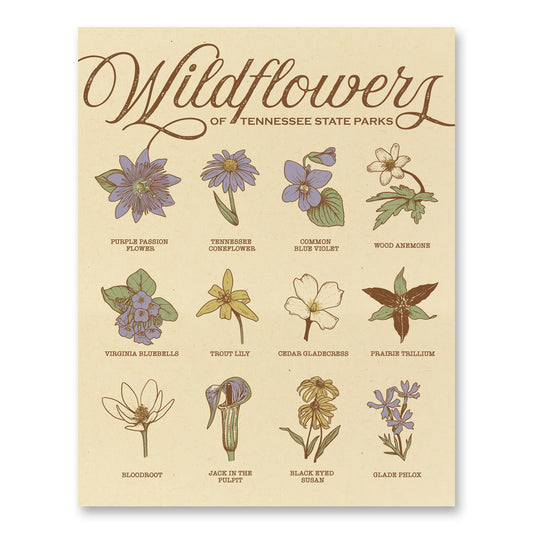 TNSP - Wildflowers - 11x14 Print