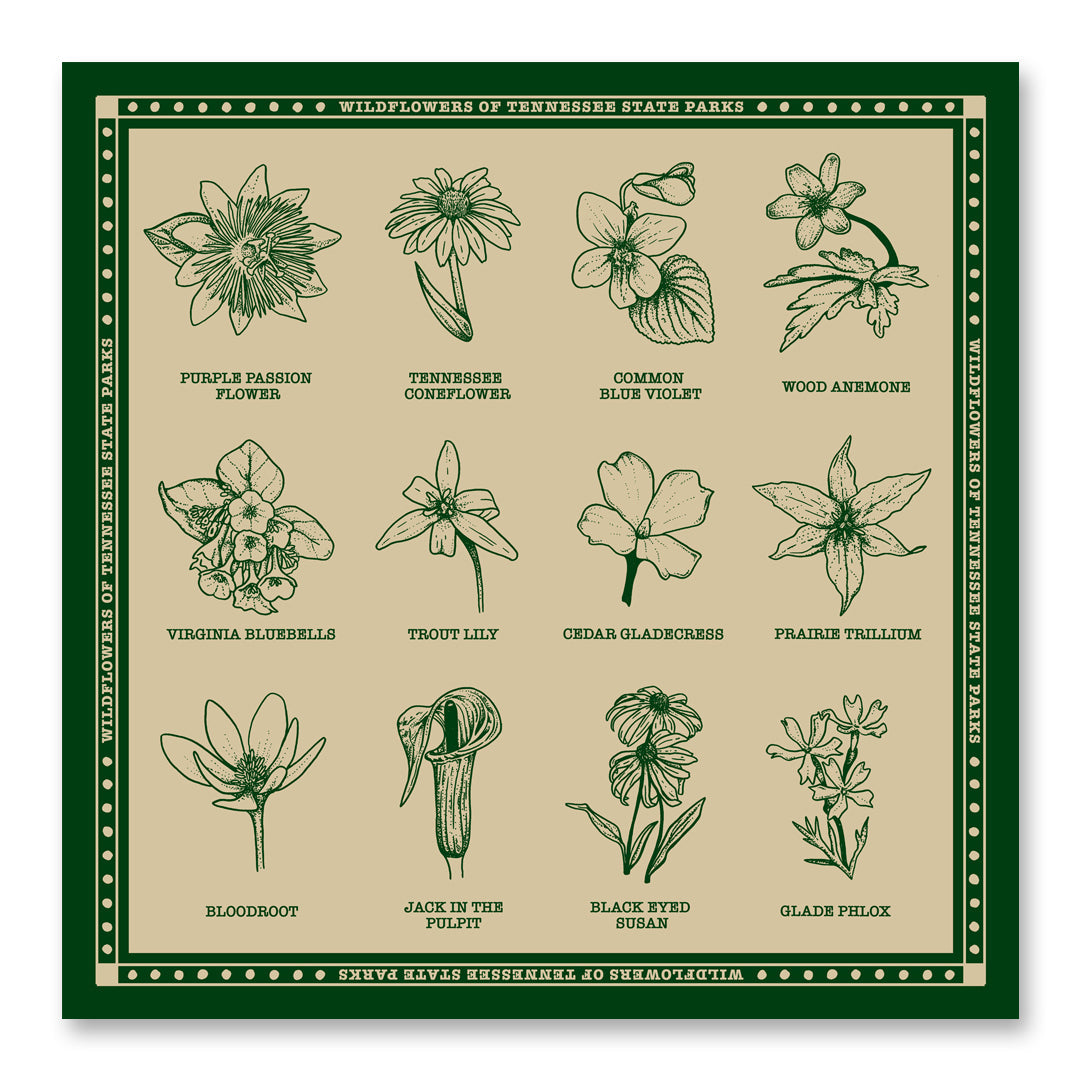 TNSP - Wildflowers Bandana