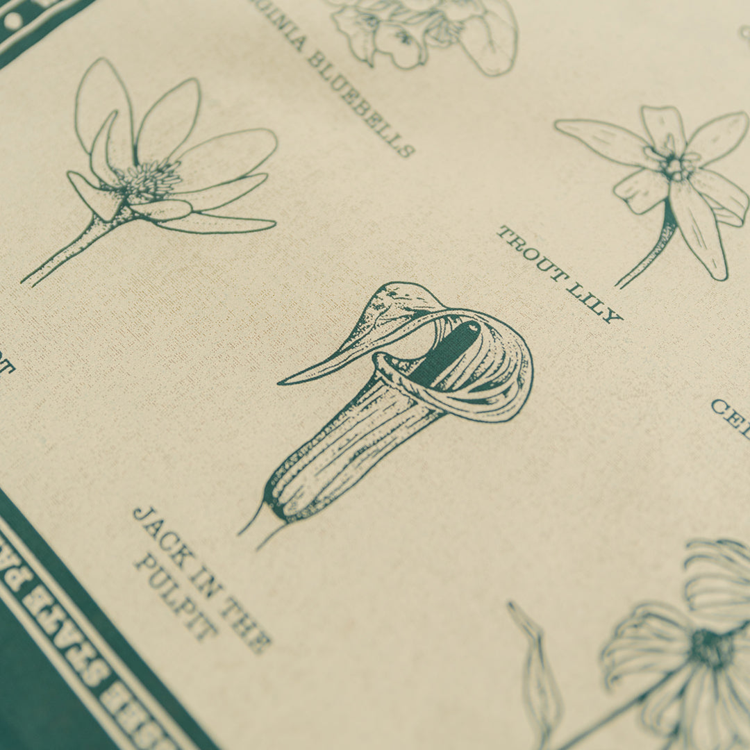 TNSP - Wildflowers Bandana