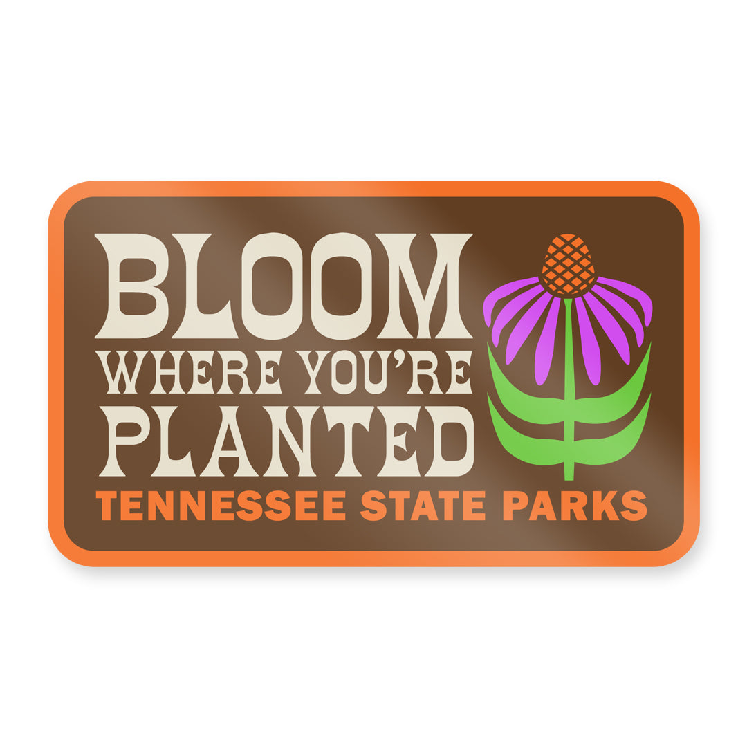 TNSP - Wildflowers Sticker