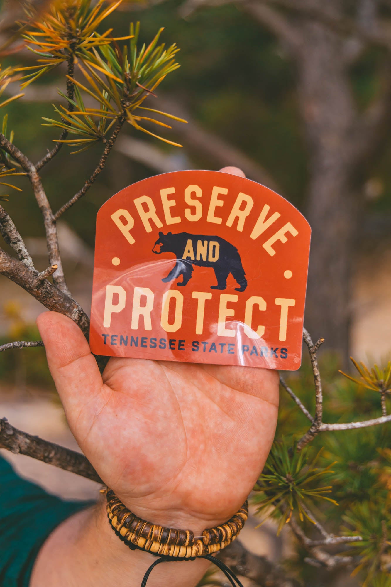 TNSP - Preserve and Protect Sticker