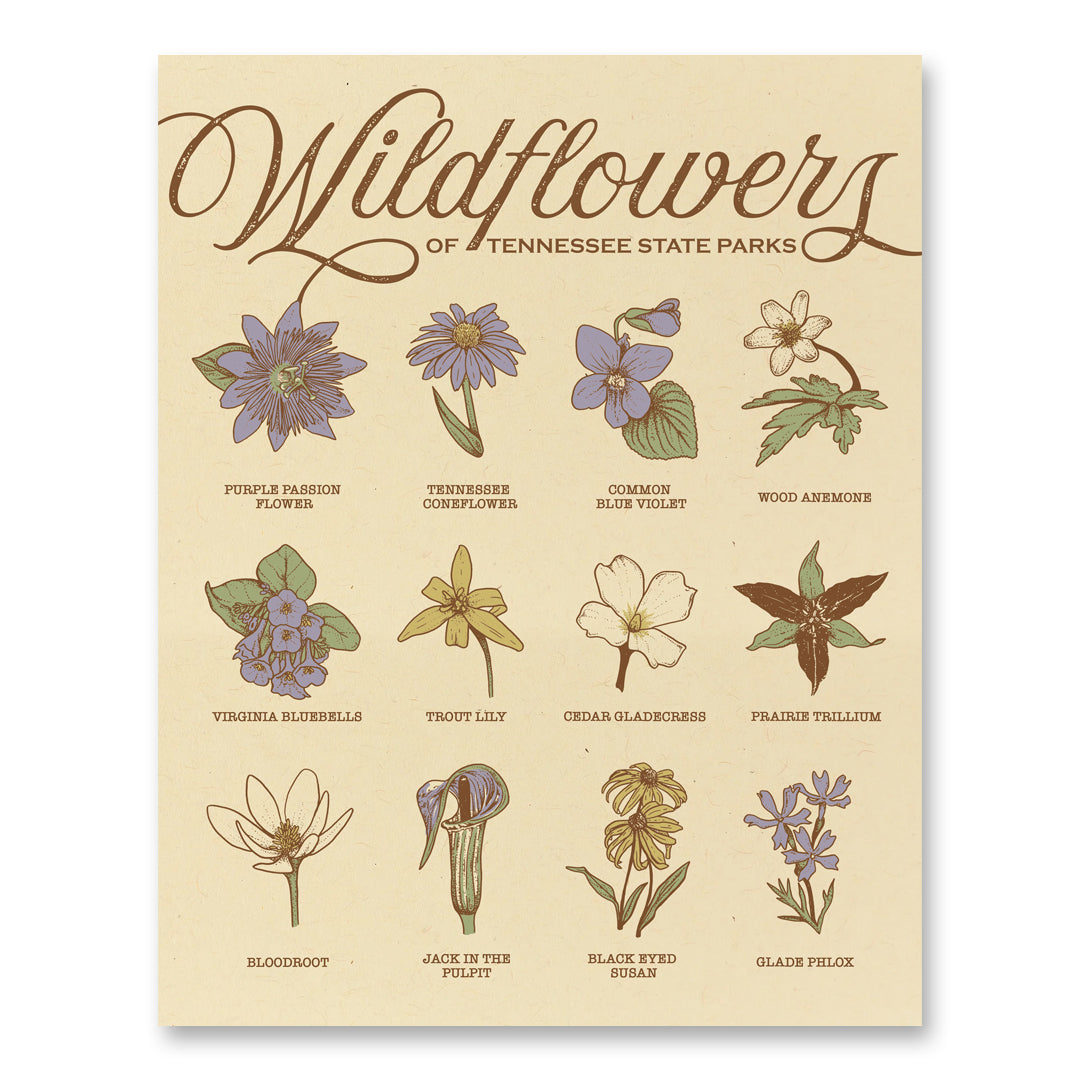 TNSP - Wildflowers - 11x14 Print